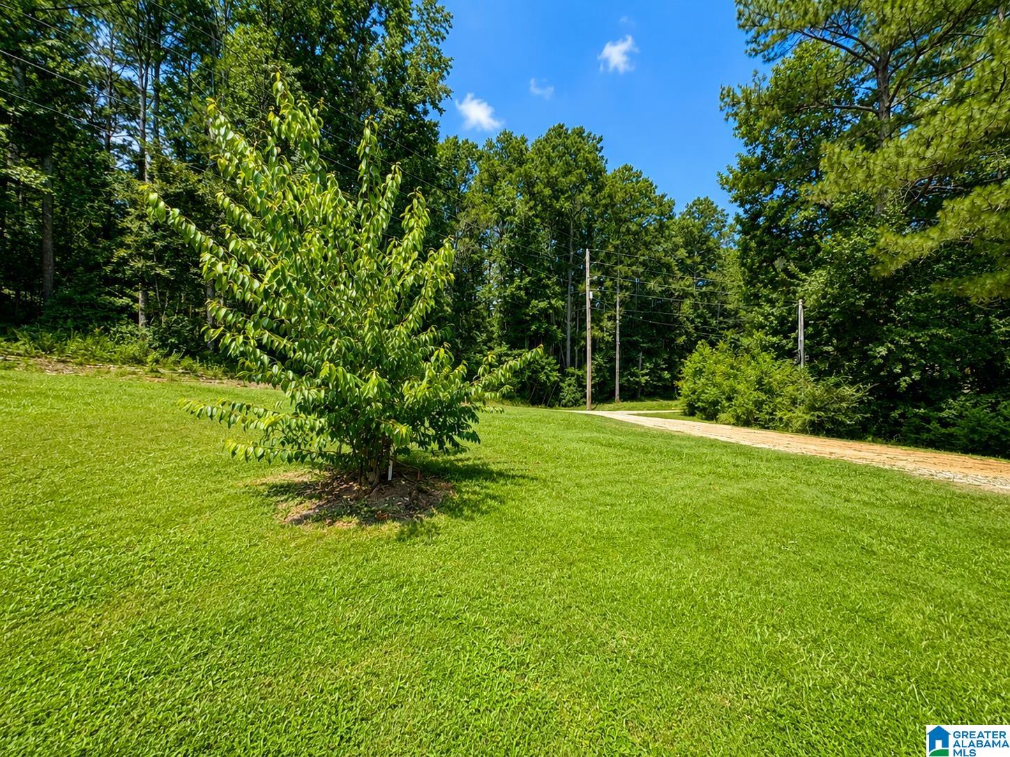 102 Pine Ridge Road Wedowee, AL 36278 - Photo 19 of 22