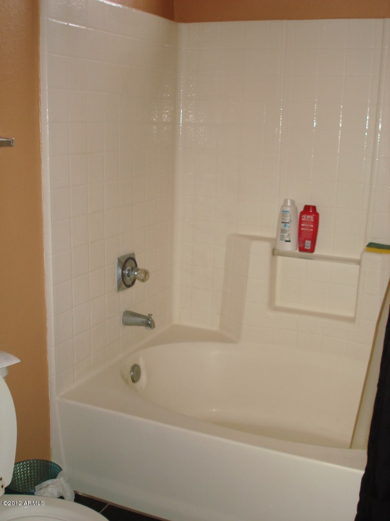1338 West Escuda Road Phoenix, AZ 85027 - Photo 18 of 23 master bath