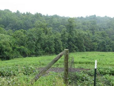 111 Scrub Grass Road Carlisle, KY 40311 - Photo 1 of 5 Photo 1