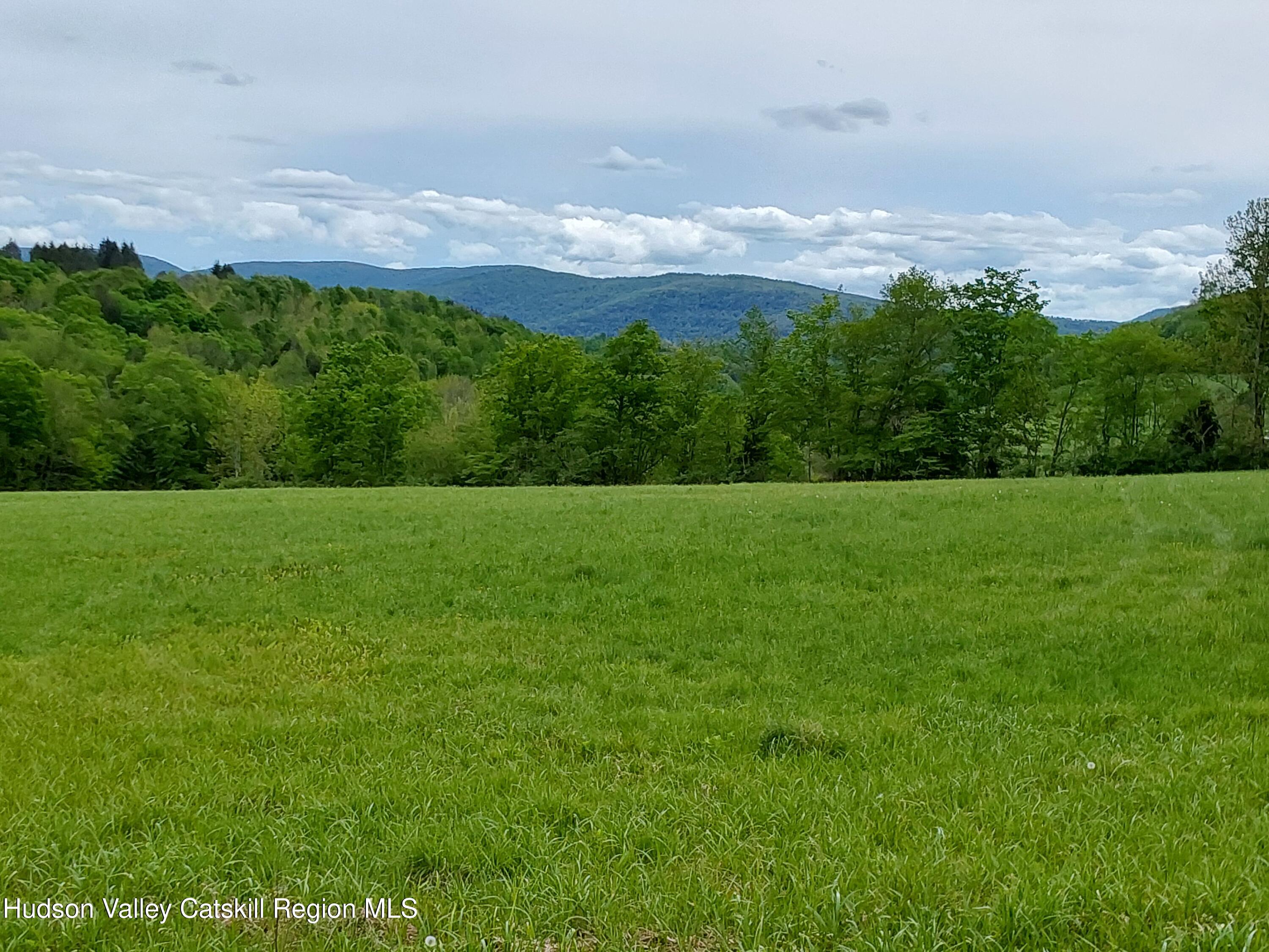 Tbd Upper Dingle Hill Road Andes, NY 13731 - Photo 42 of 44 1000000359