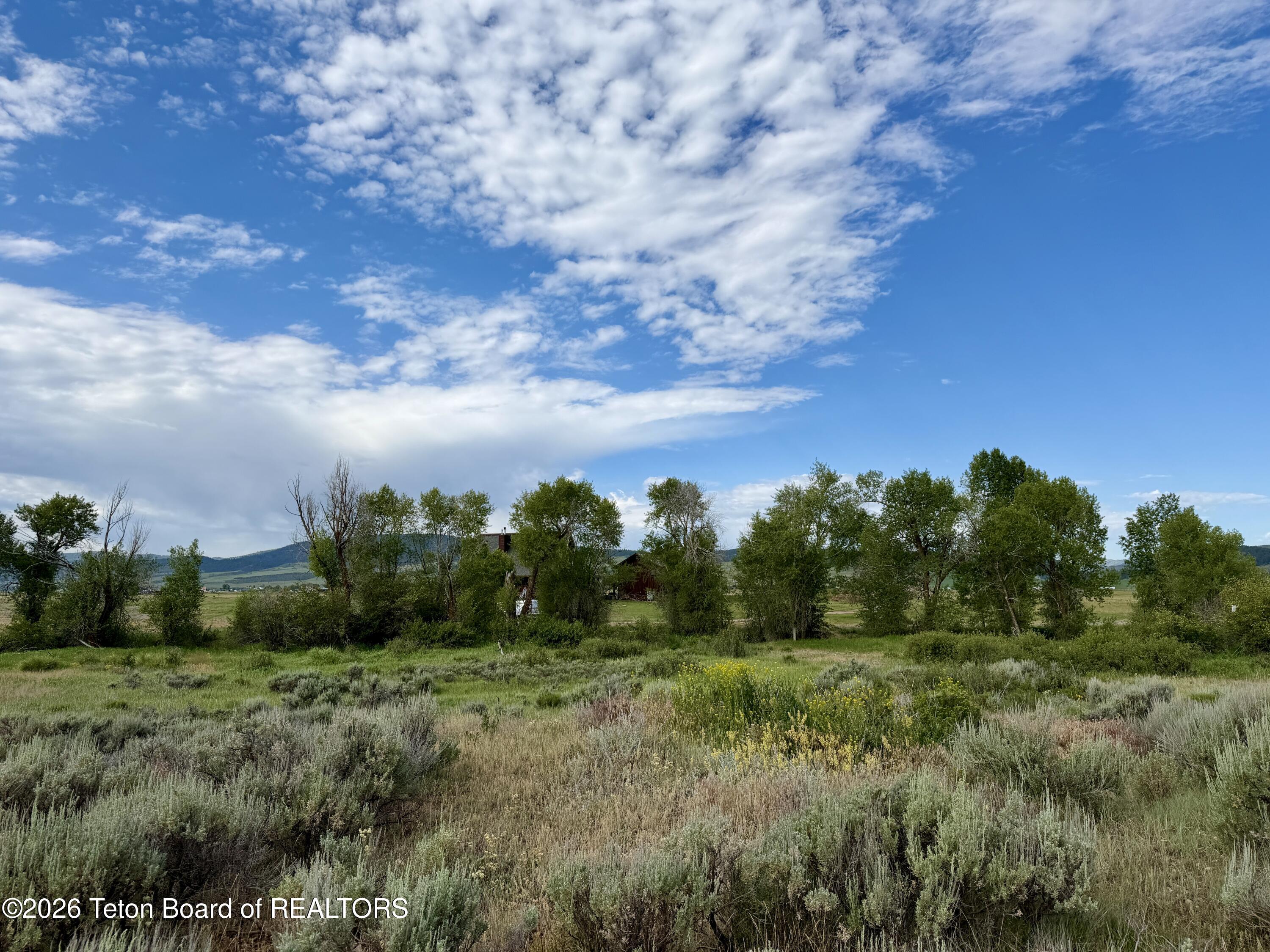 989 Dry Creek Road Afton, WY 83110 - Photo 120 of 129 IMG_1529