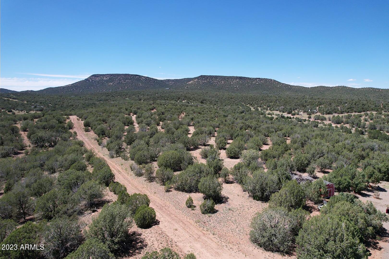 51553 North Cobre Road, Unit 2255 Seligman, AZ 86337 - Photo 4 of 25 2023-06-21-14-28-45-340