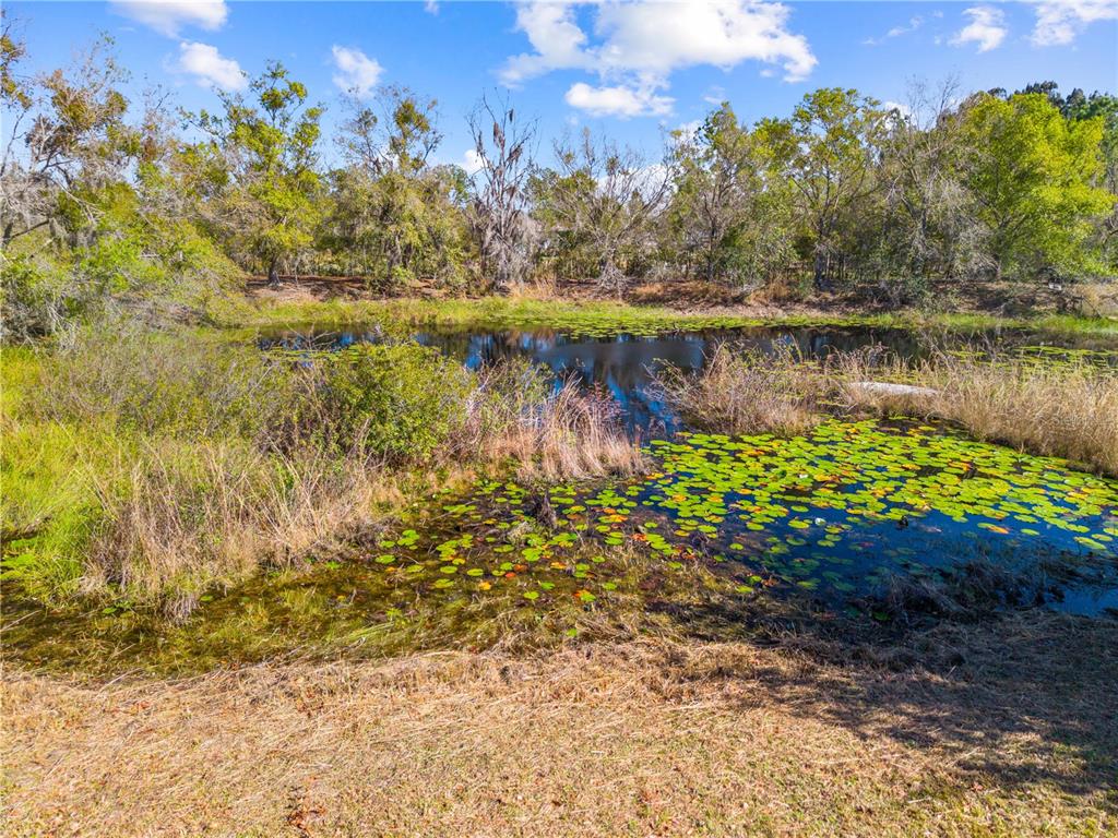 3575 Kaiser Avenue St. Cloud, FL 34772 - Photo 67 of 73