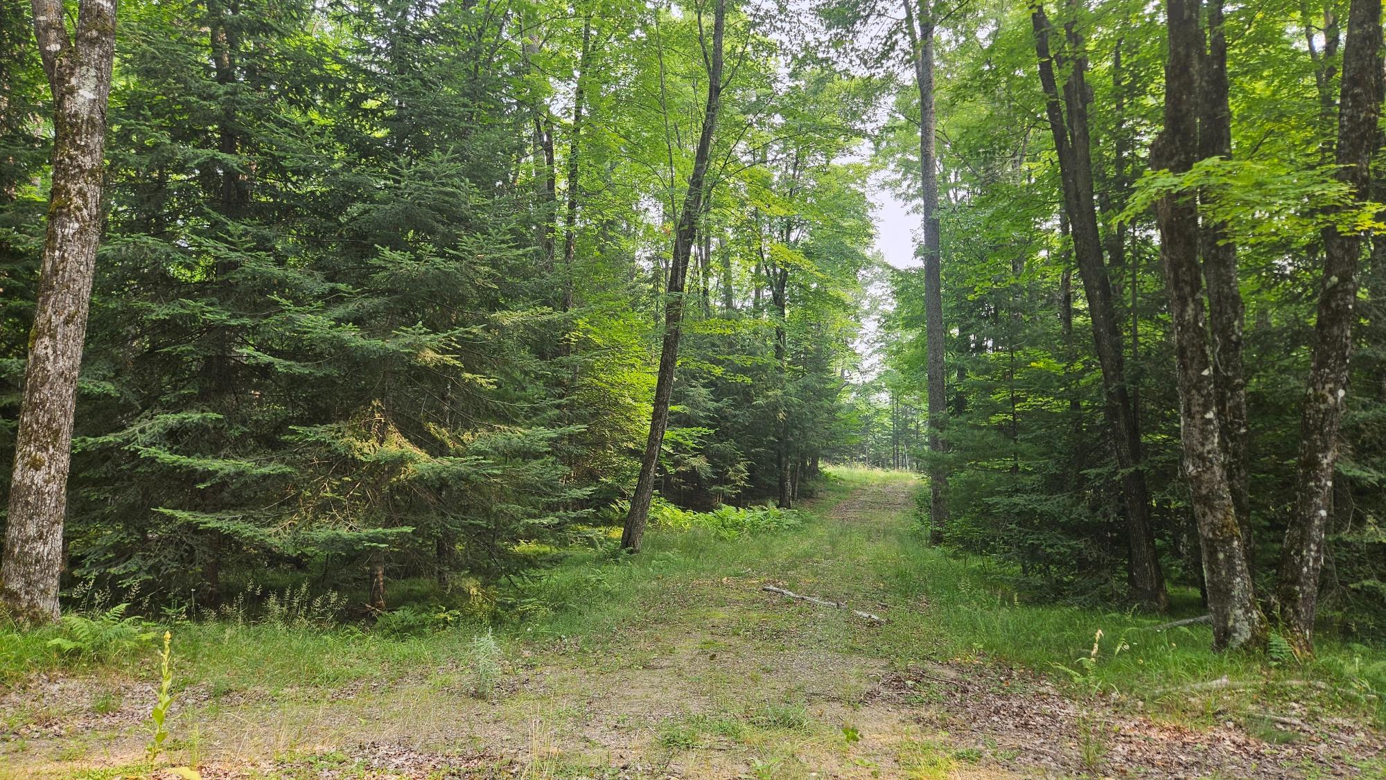 Off Off Cth K Conover, WI 54519 - Photo 6 of 9 Gallery Image 6
