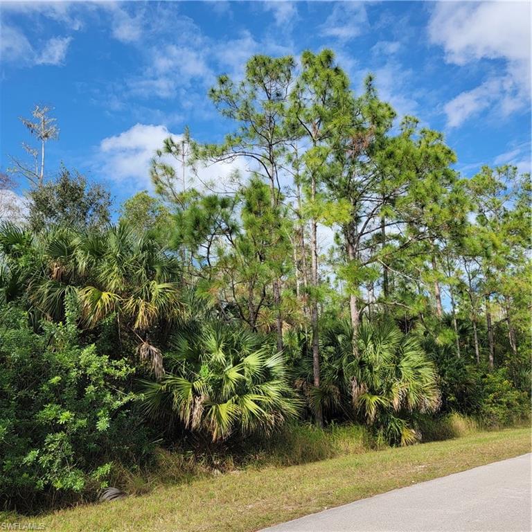 3011 2nd Street Northeast Naples, FL 34120 - Photo 11 of 17 a backyard of a house with lots of green space