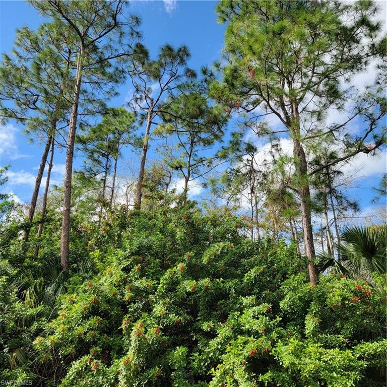3011 2nd Street Northeast Naples, FL 34120 - Photo 14 of 17 an aerial view of a houses with yard