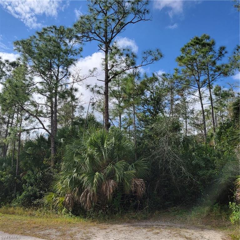 3011 2nd Street Northeast Naples, FL 34120 - Photo 3 of 17 a view of a yard with plants and large trees