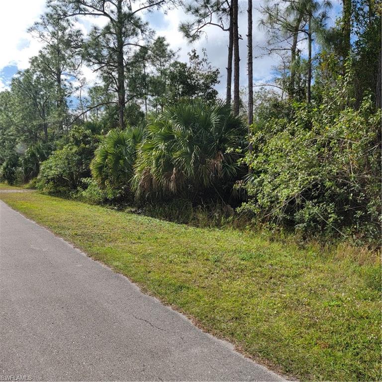 3011 2nd Street Northeast Naples, FL 34120 - Photo 5 of 17 a view of outdoor space and yard
