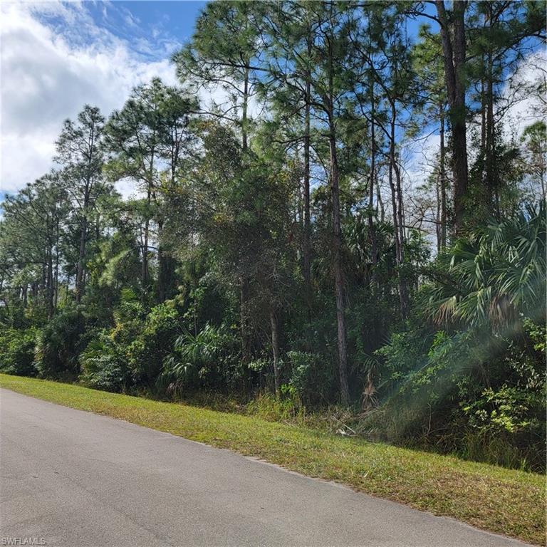 3011 2nd Street Northeast Naples, FL 34120 - Photo 9 of 17 a view of green field with trees in the background
