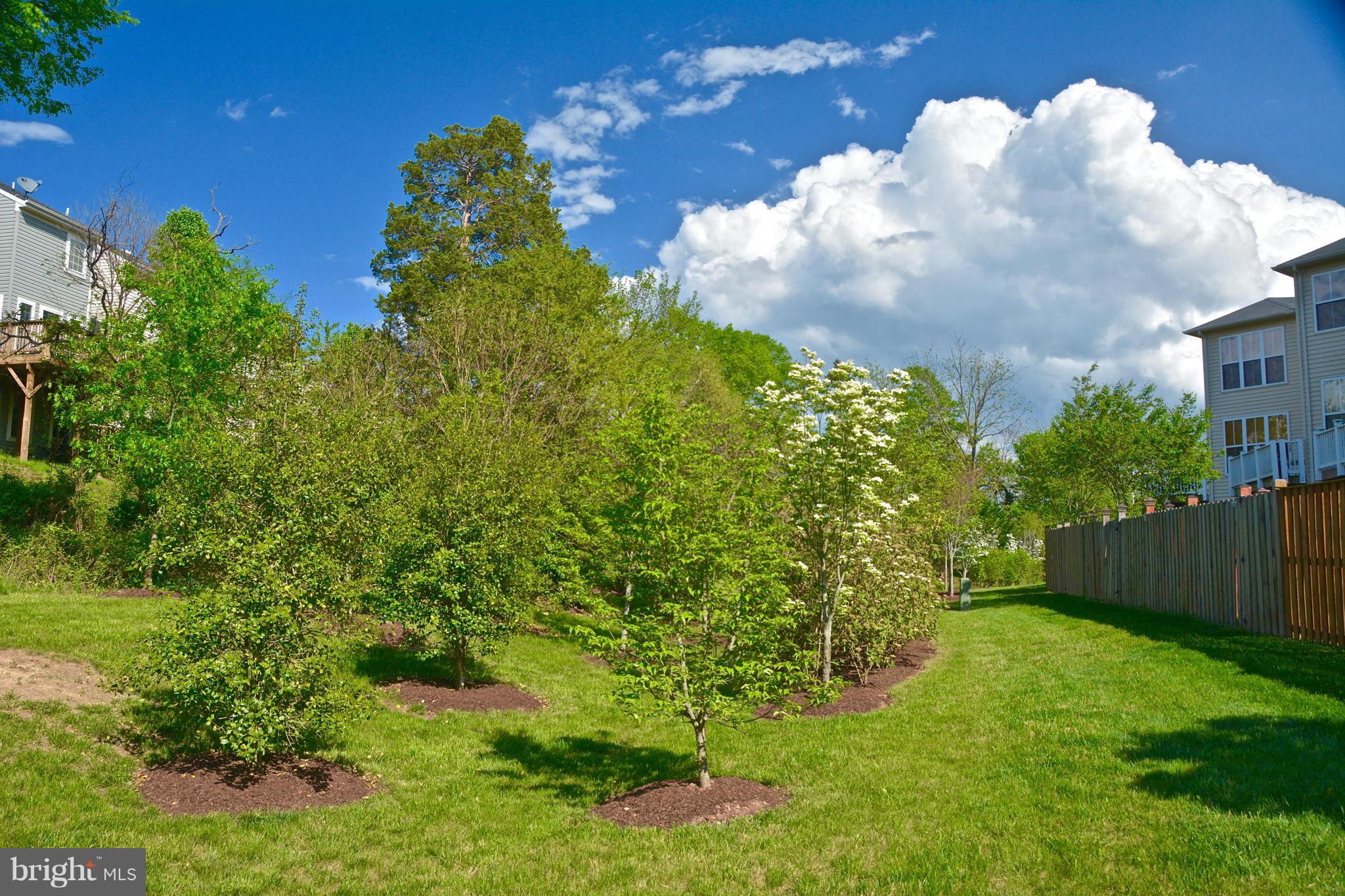 9101 Ribbon Falls Loop Bristow, VA 20136 - Photo 2 of 21 Exterior (Rear)