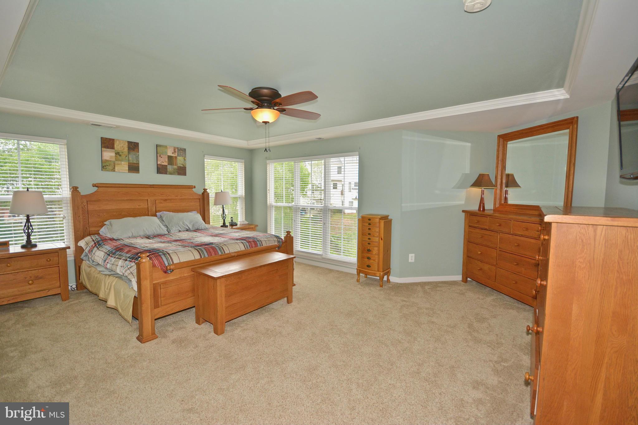 9101 Ribbon Falls Loop Bristow, VA 20136 - Photo 14 of 21 Bedroom (Master)