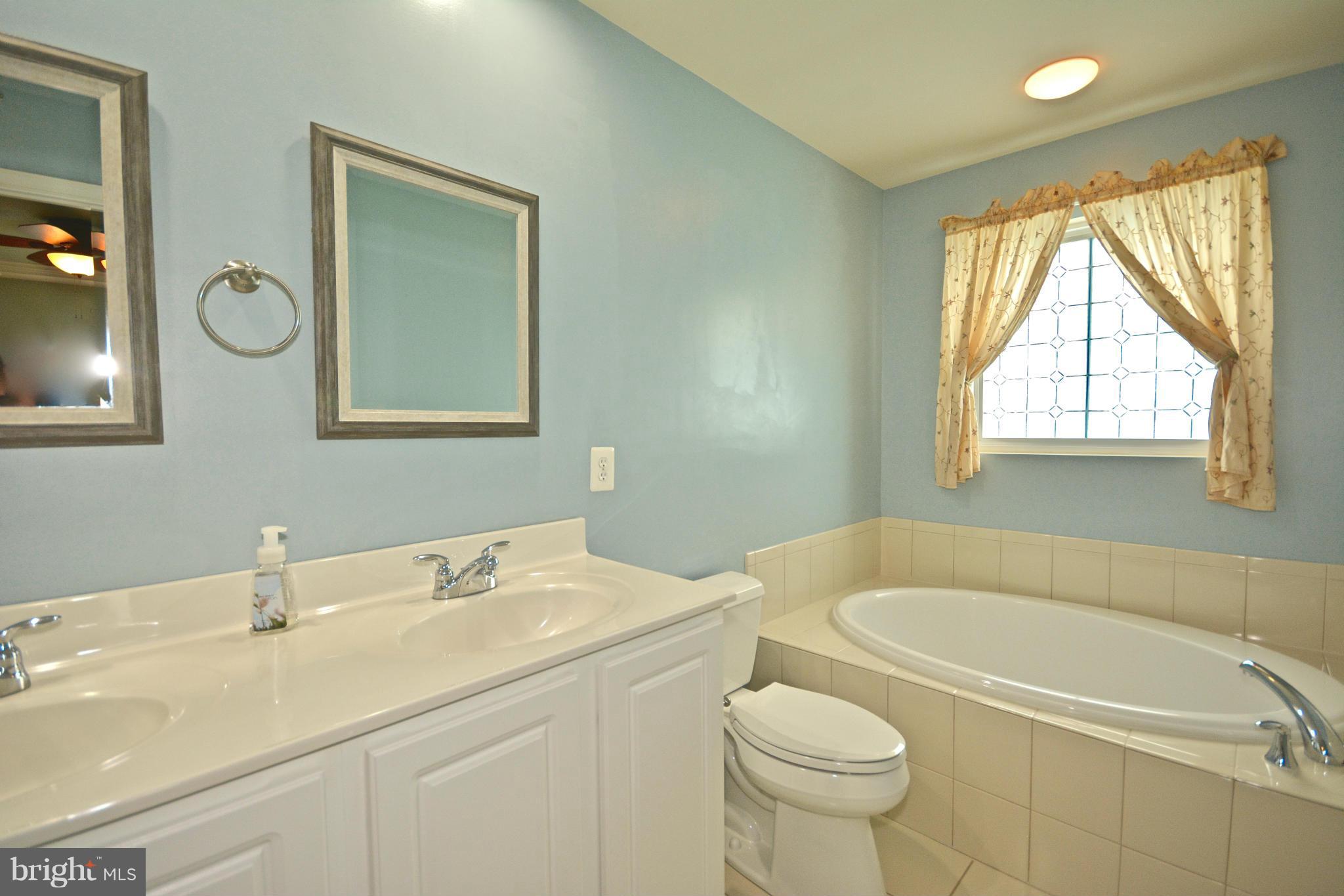 9101 Ribbon Falls Loop Bristow, VA 20136 - Photo 15 of 21 Bath (Master)