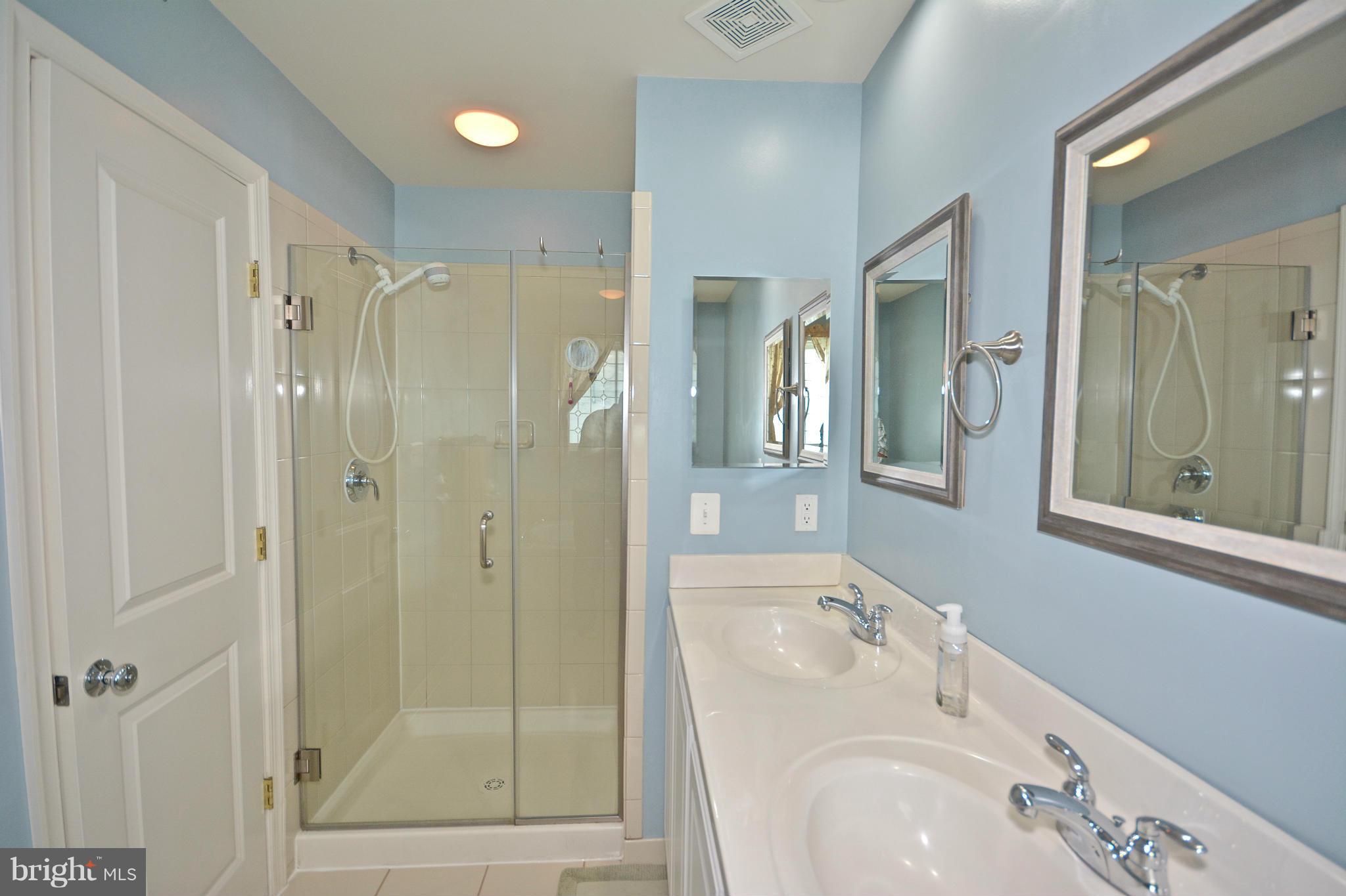 9101 Ribbon Falls Loop Bristow, VA 20136 - Photo 16 of 21 Bath (Master)
