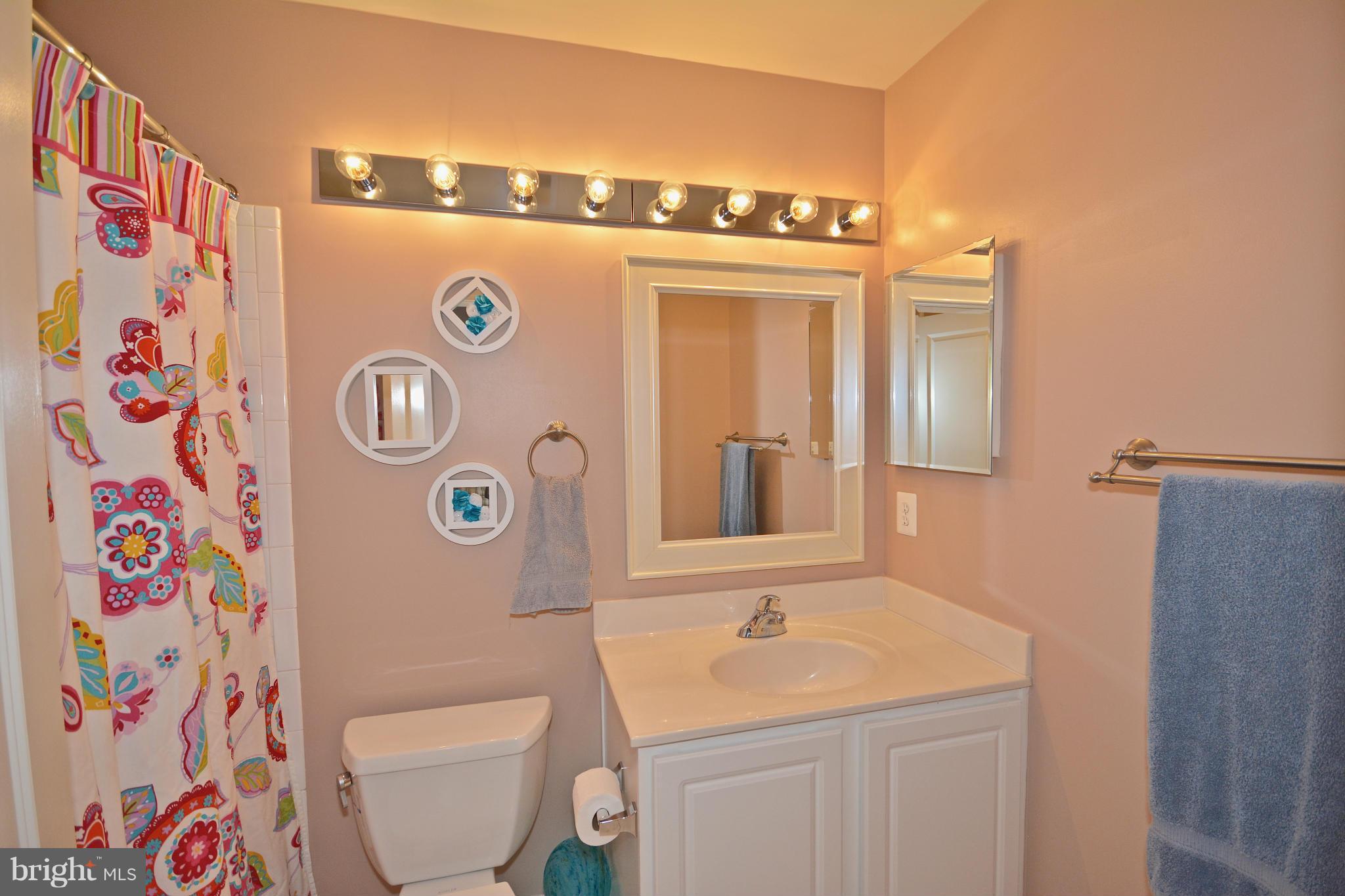 9101 Ribbon Falls Loop Bristow, VA 20136 - Photo 17 of 21 Upper Hall Bath