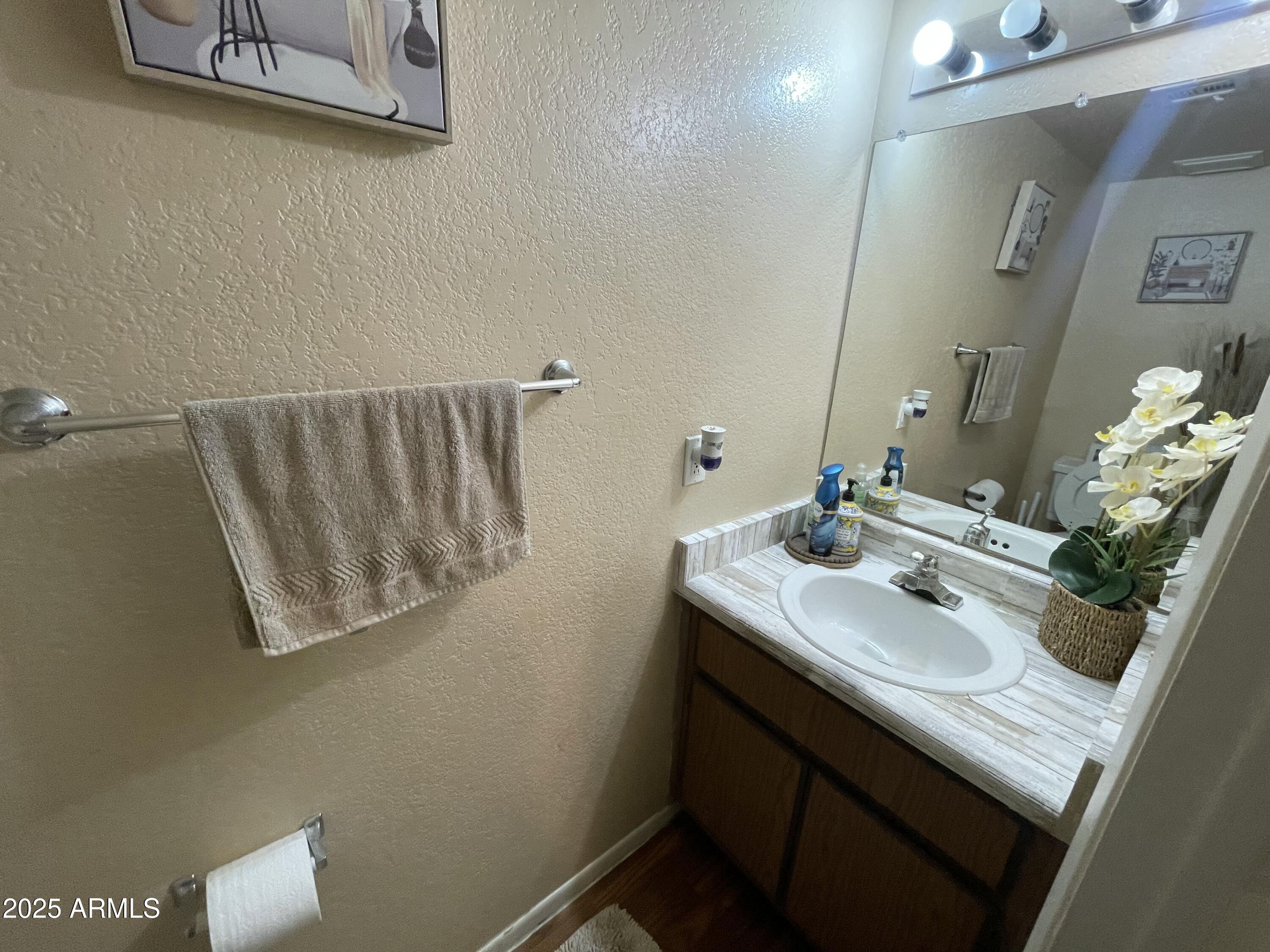 2822 East Kathleen Road Phoenix, AZ 85032 - Photo 16 of 30 a bathroom with a sink a mirror and a shower