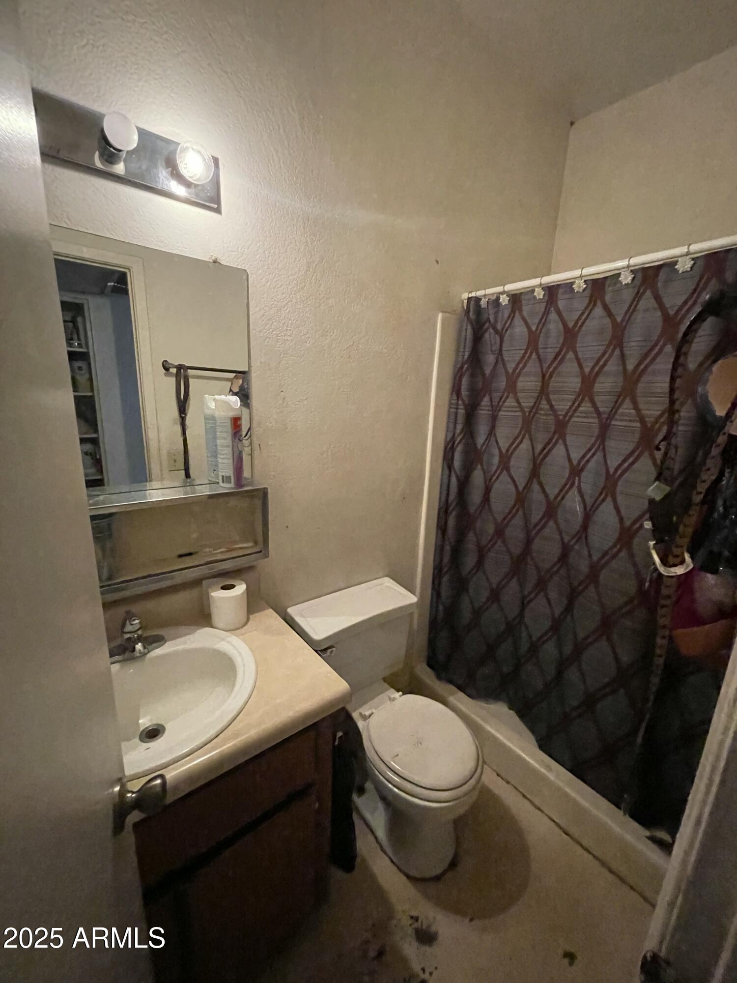2822 East Kathleen Road Phoenix, AZ 85032 - Photo 25 of 30 a bathroom with a sink a toilet and shower