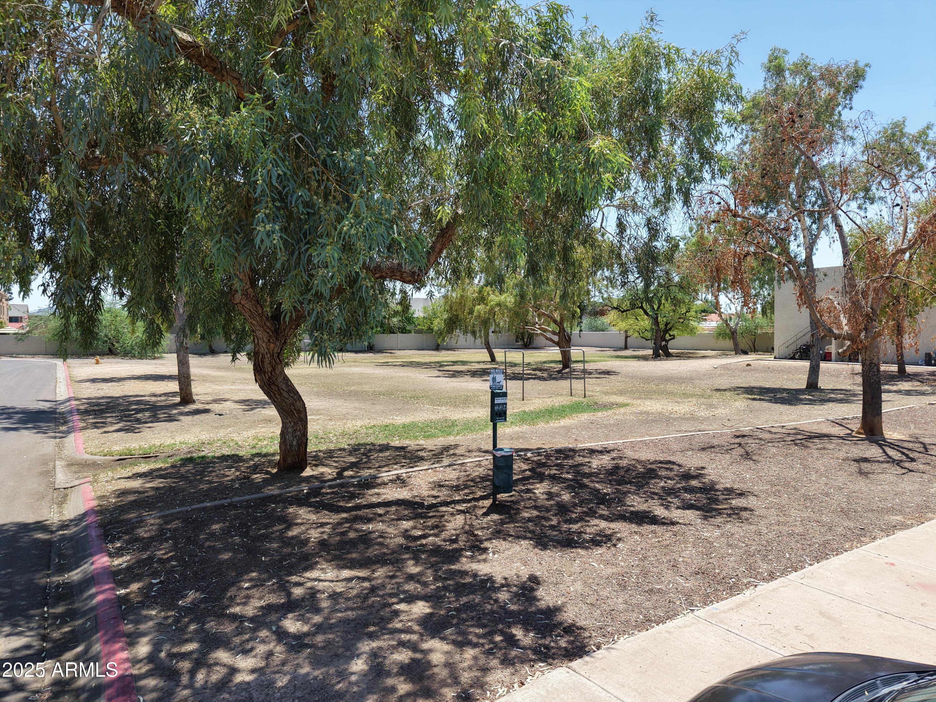 2822 East Kathleen Road Phoenix, AZ 85032 - Photo 4 of 30 a view of a tree in the middle of a yard