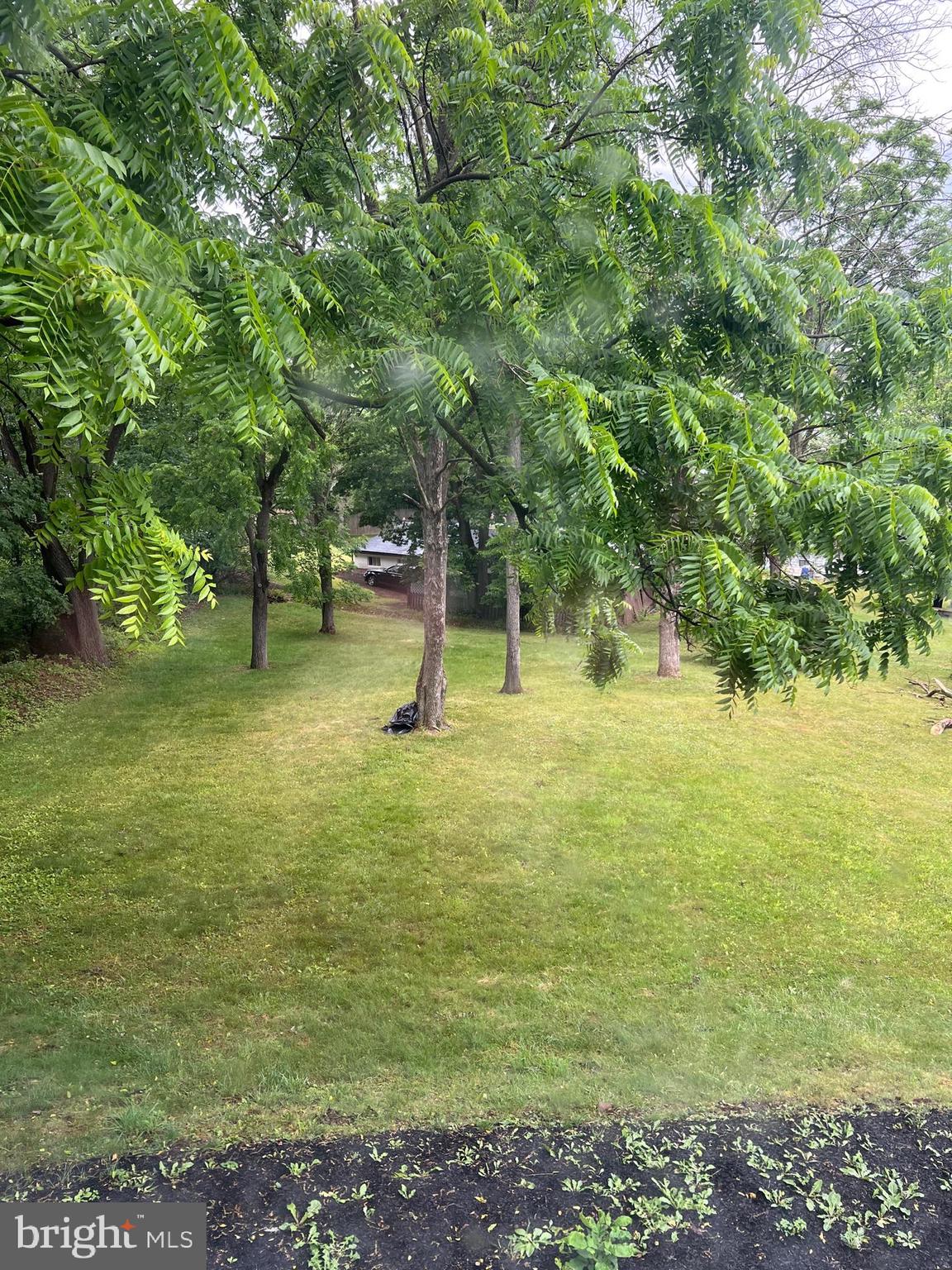 1024 Crestview Avenue Reading, PA 19607 - Photo 3 of 11 a view of a tree with a park