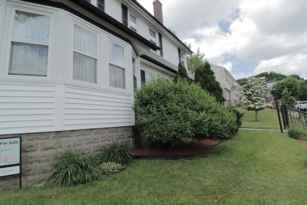 36 Kimball Road Chelsea, MA 02150 - Photo 3 of 24 a view of a backyard with plants and a large tree