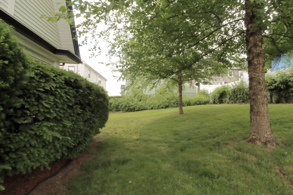 36 Kimball Road Chelsea, MA 02150 - Photo 5 of 24 a view of outdoor space and yard