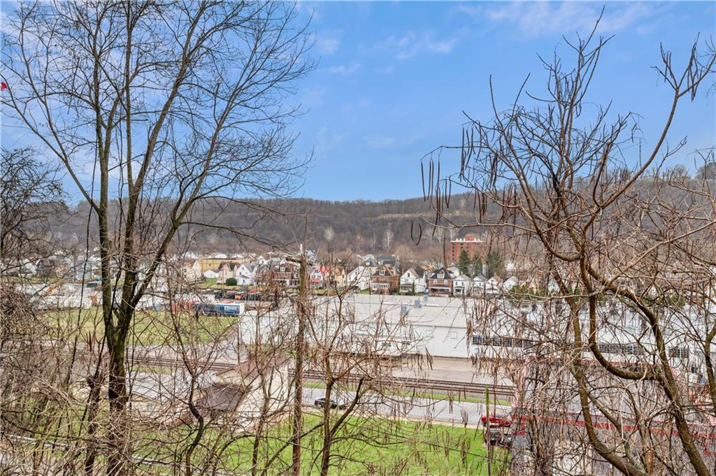 856 Cleveland Avenue Brackenridge, PA 15014 - Photo 6 of 35 a view of outdoor space yard and blue trees