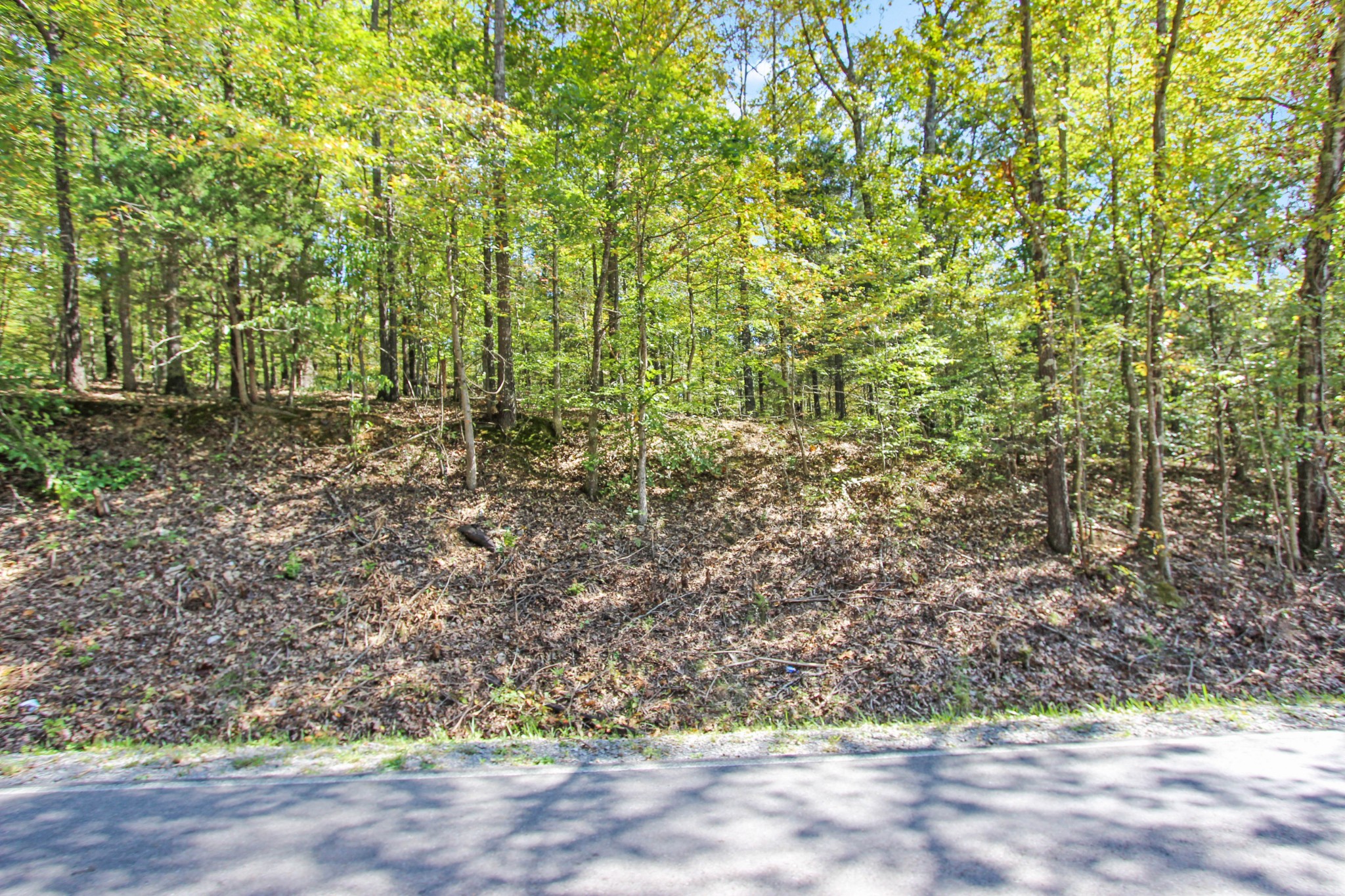 1 Bumpus Mills Road Dover, TN 37058 - Photo 2 of 9 Gallery Image 2