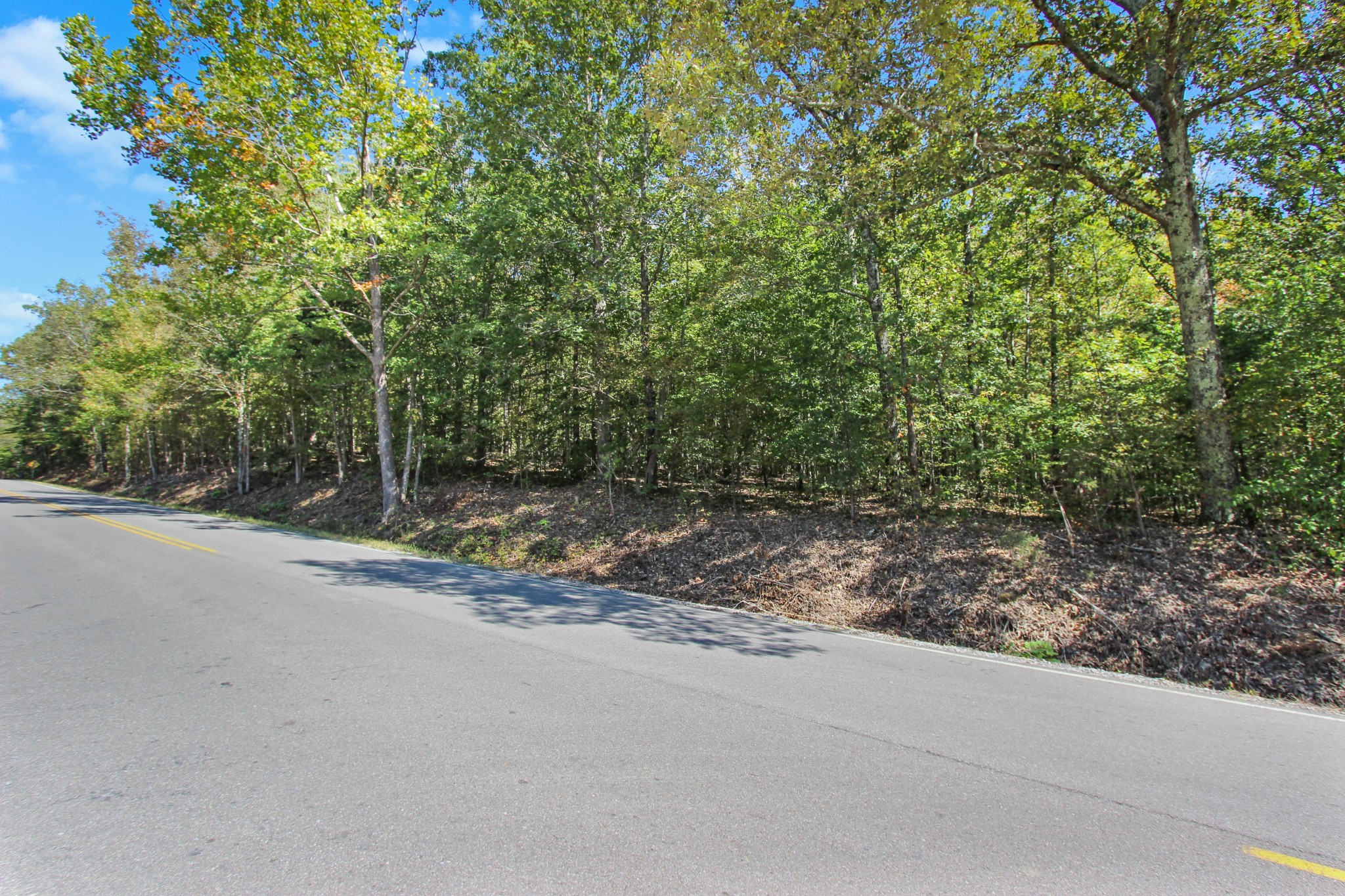 1 Bumpus Mills Road Dover, TN 37058 - Photo 3 of 9 Gallery Image 3