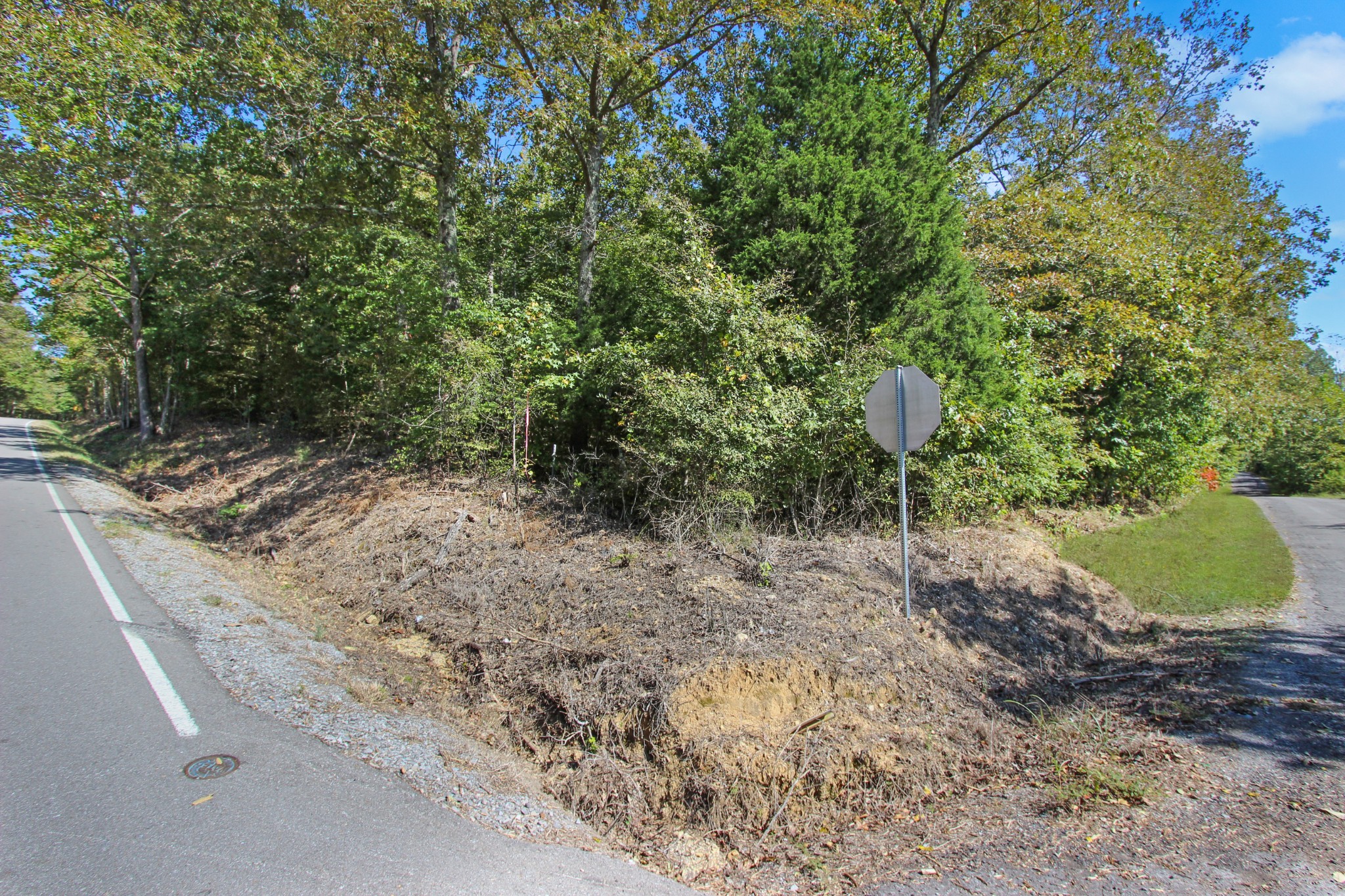 1 Bumpus Mills Road Dover, TN 37058 - Photo 4 of 9 Gallery Image 4