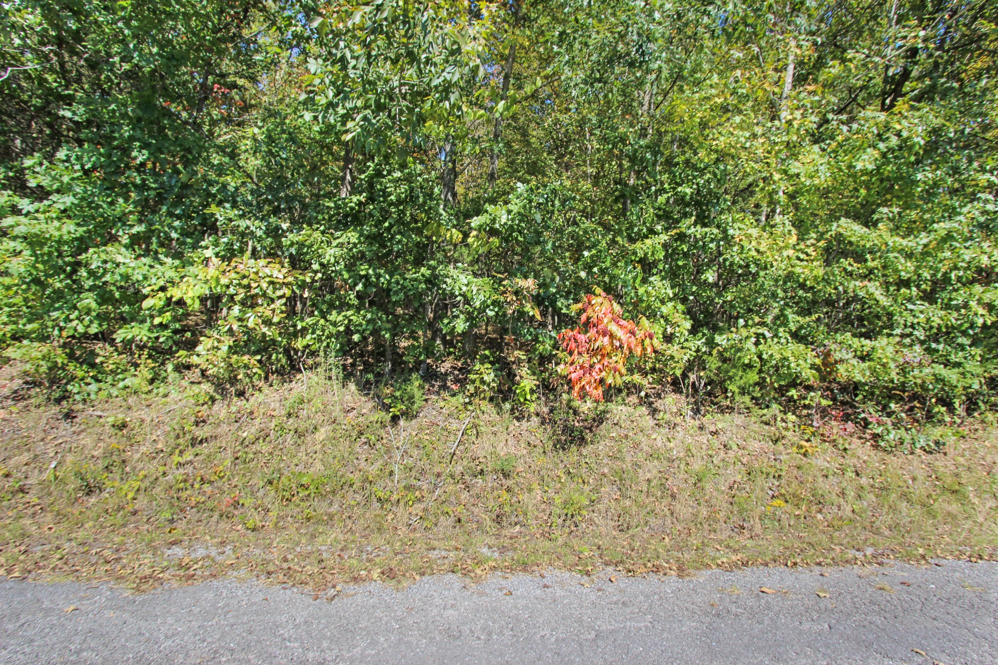 1 Bumpus Mills Road Dover, TN 37058 - Photo 5 of 9 Gallery Image 5