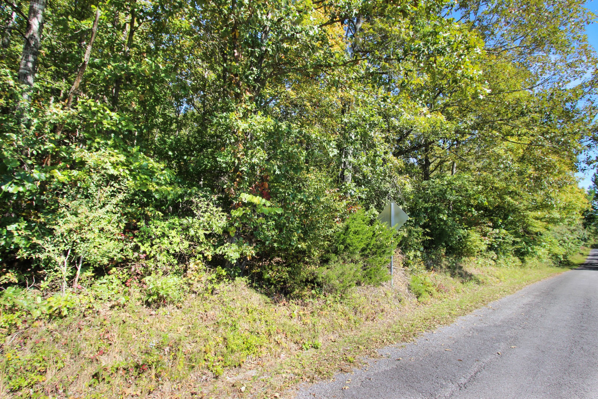 1 Bumpus Mills Road Dover, TN 37058 - Photo 6 of 9 Gallery Image 6
