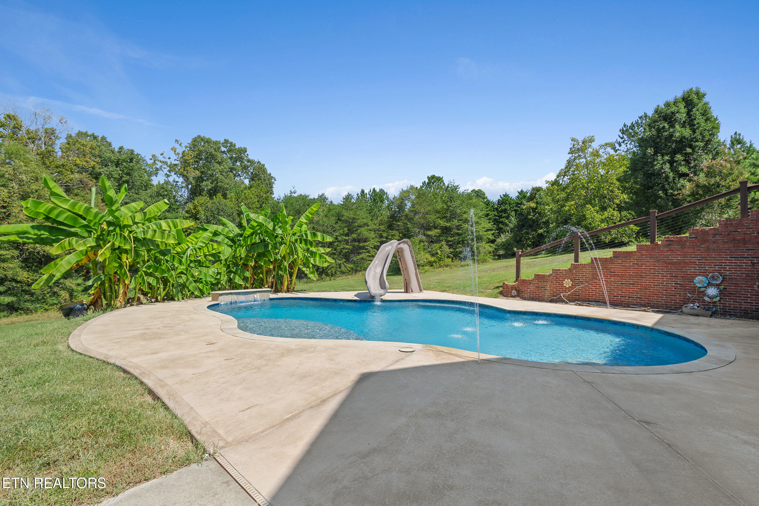3678 Fox Ridge Road Louisville, TN 37777 - Photo 8 of 8 Pool w/tanning ledge