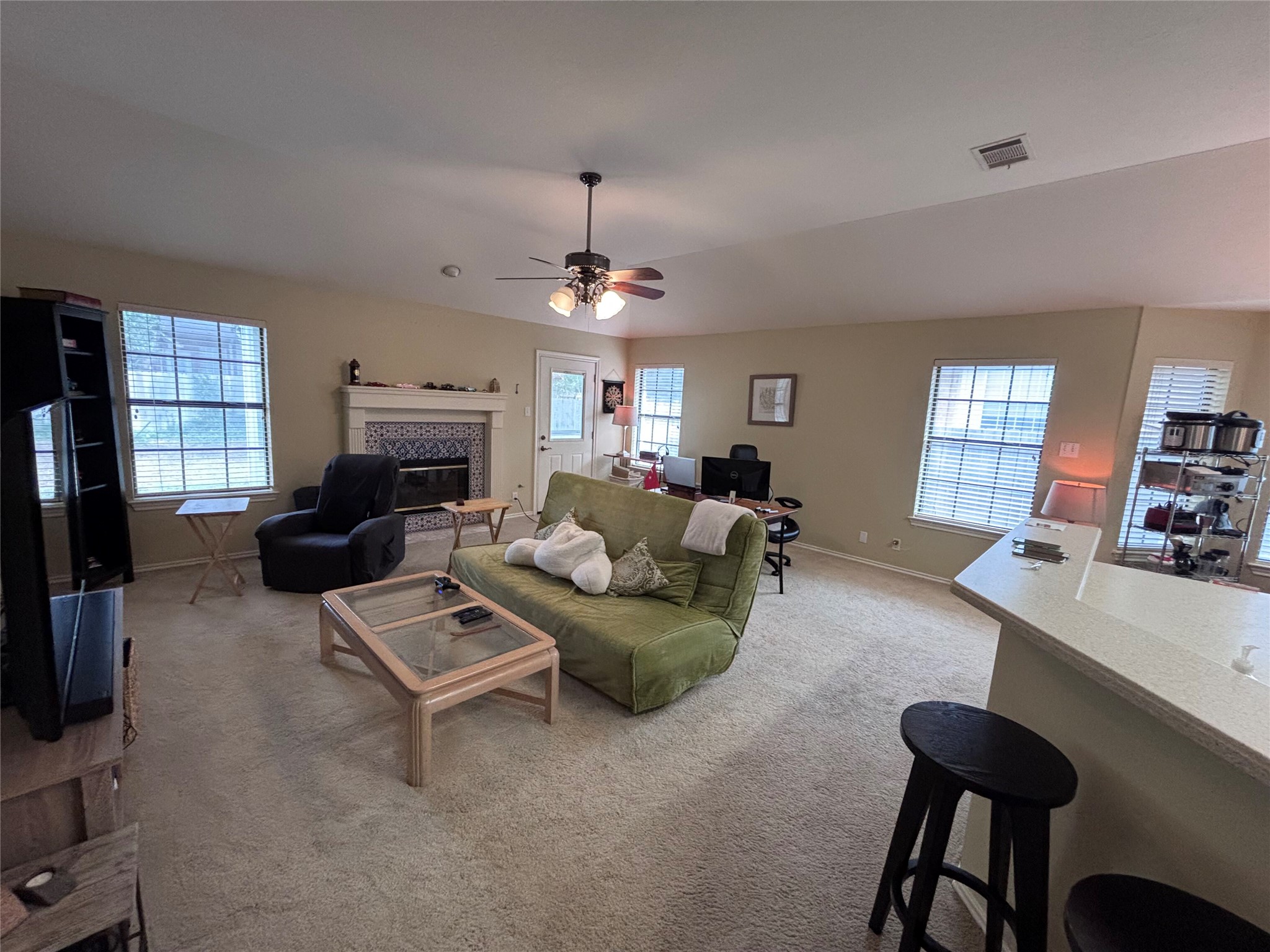1316 Mesquite Road Cedar Park, TX 78613 - Photo 13 of 24 A generous living area with a fireplace and multiple windows invites comfortable relaxation.