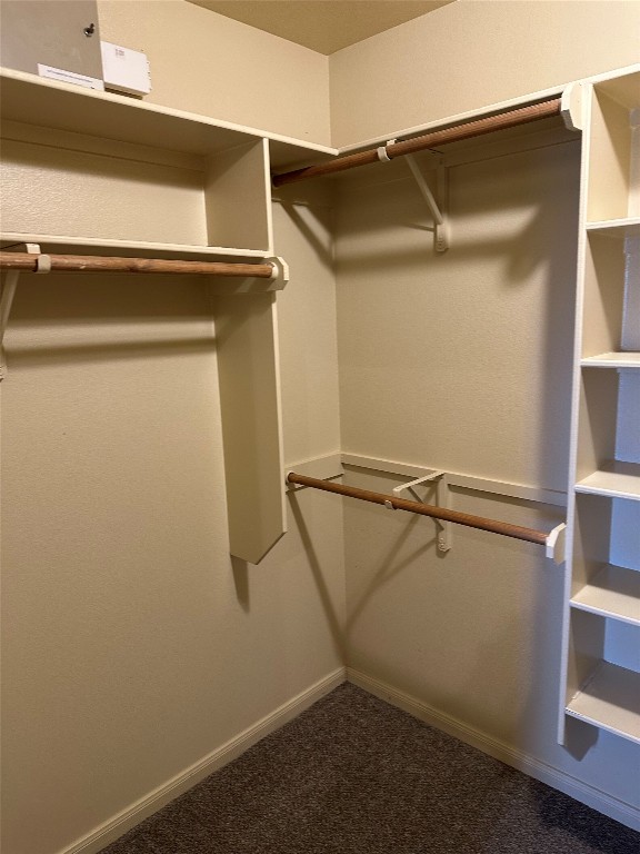 7518 Amber Meadow Loop Temple, TX 76502 - Photo 16 of 35 a view of walk in closet