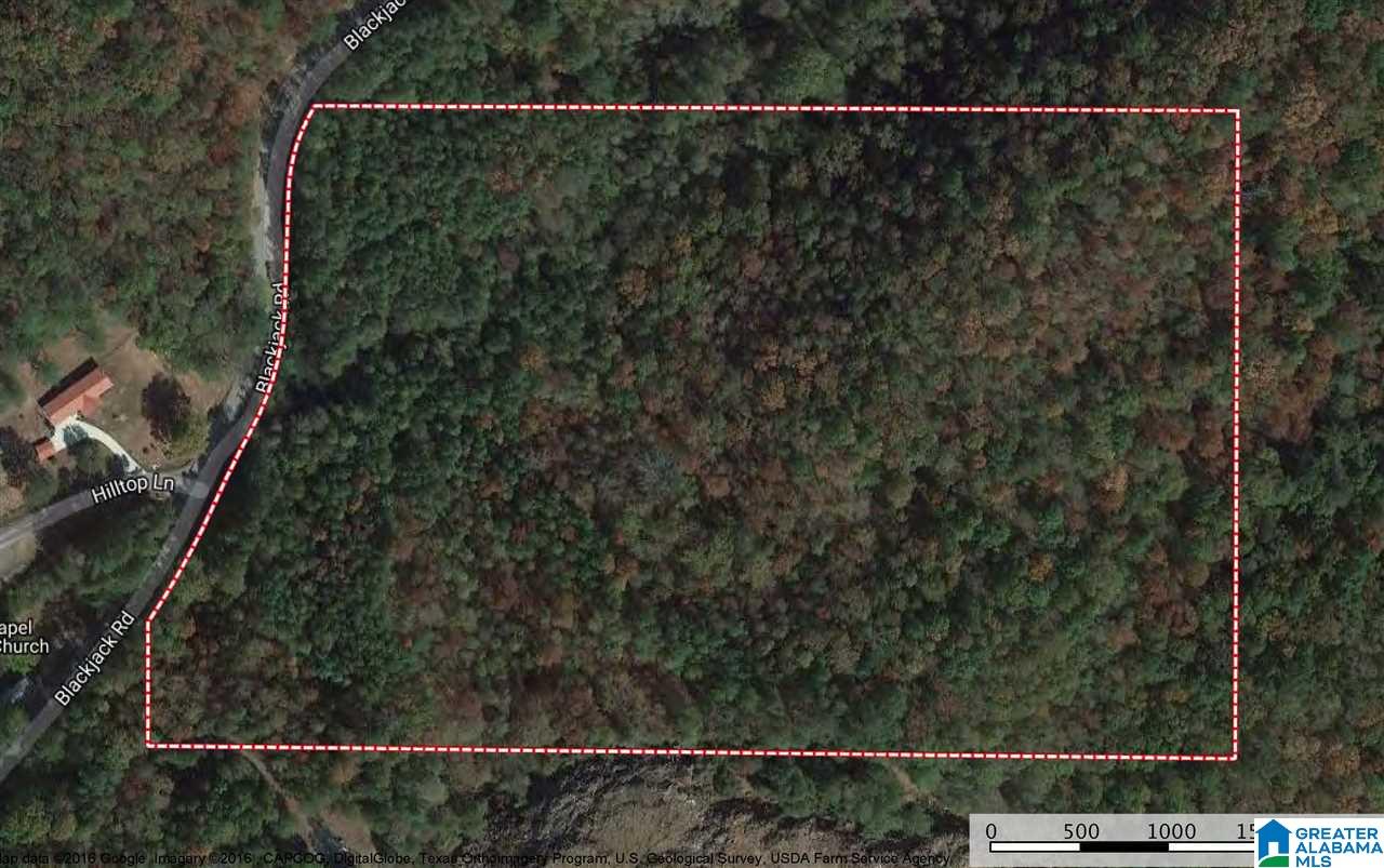 0 Blackjack Road, Unit 22 / ACRES Trussville, AL 35173 - Photo 1 of 7