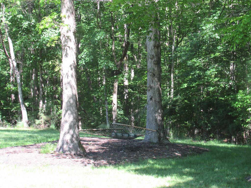 830 Guinea Road Farmville, VA 23901 - Photo 19 of 19 Gallery Image 19