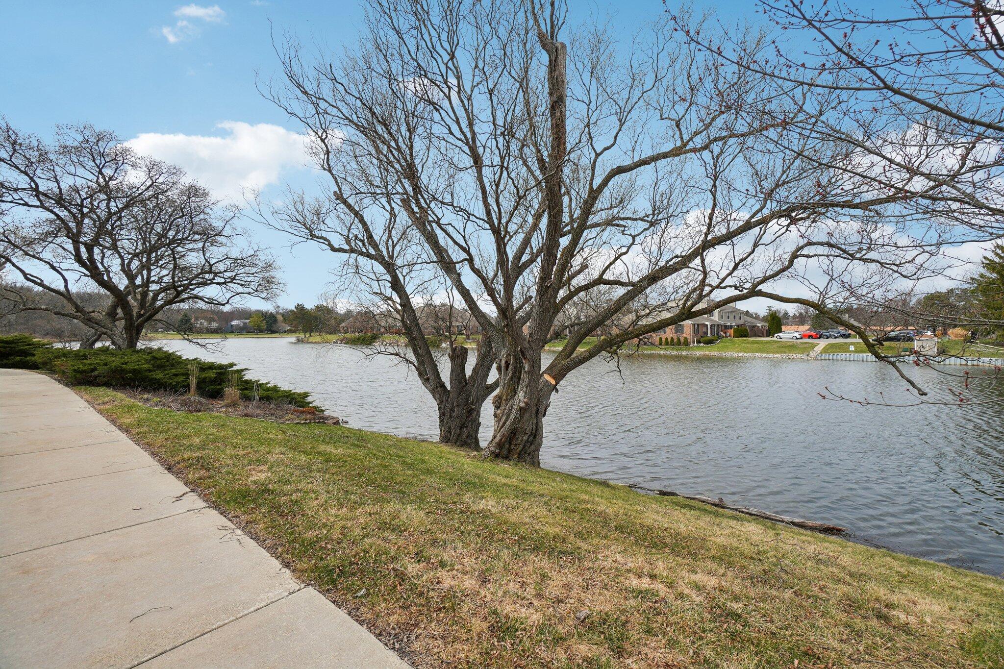 22173 Pondview Novi, MI 48375 - Photo 22 of 36 Pond view