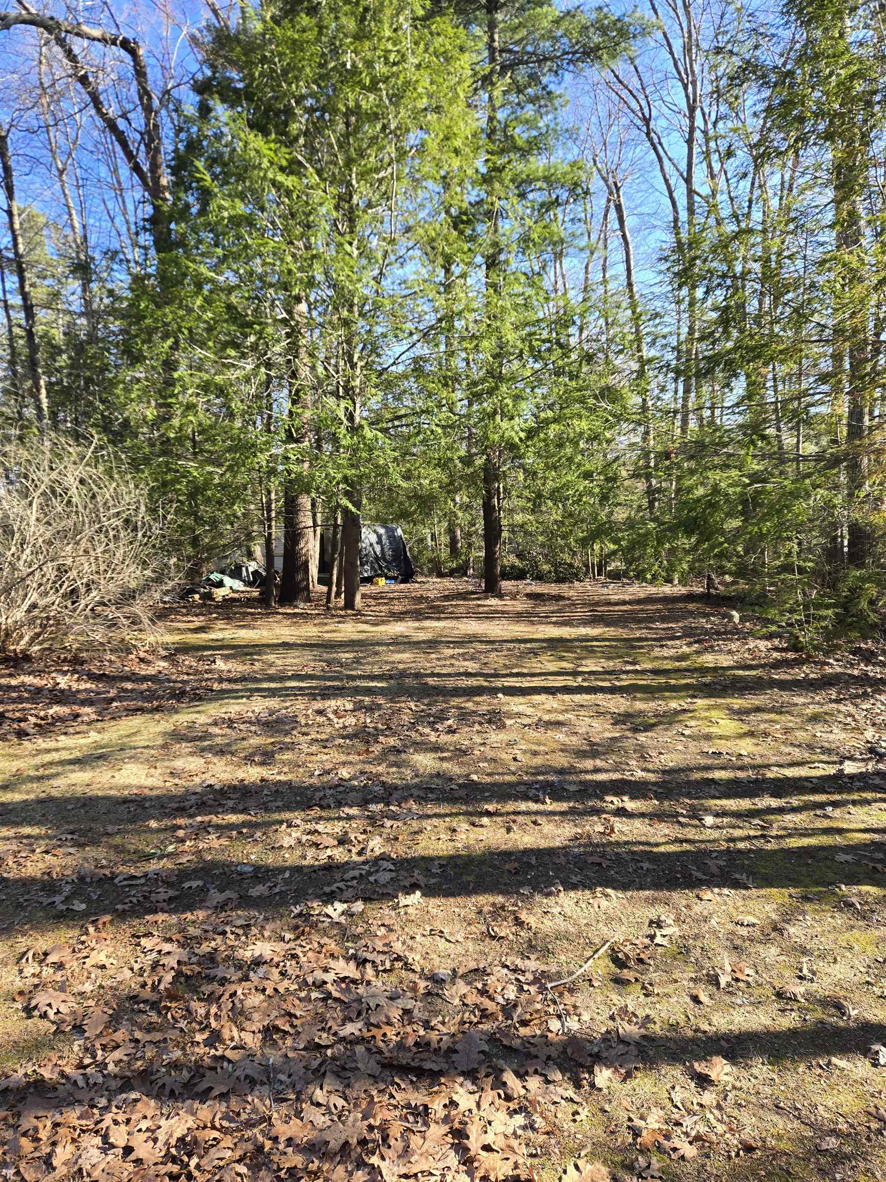 46 Farm Lane Seabrook, NH 03874 - Photo 2 of 8
