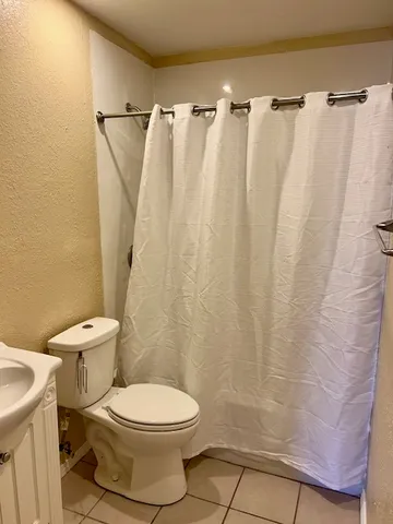 a white toilet sitting next to a shower curtain