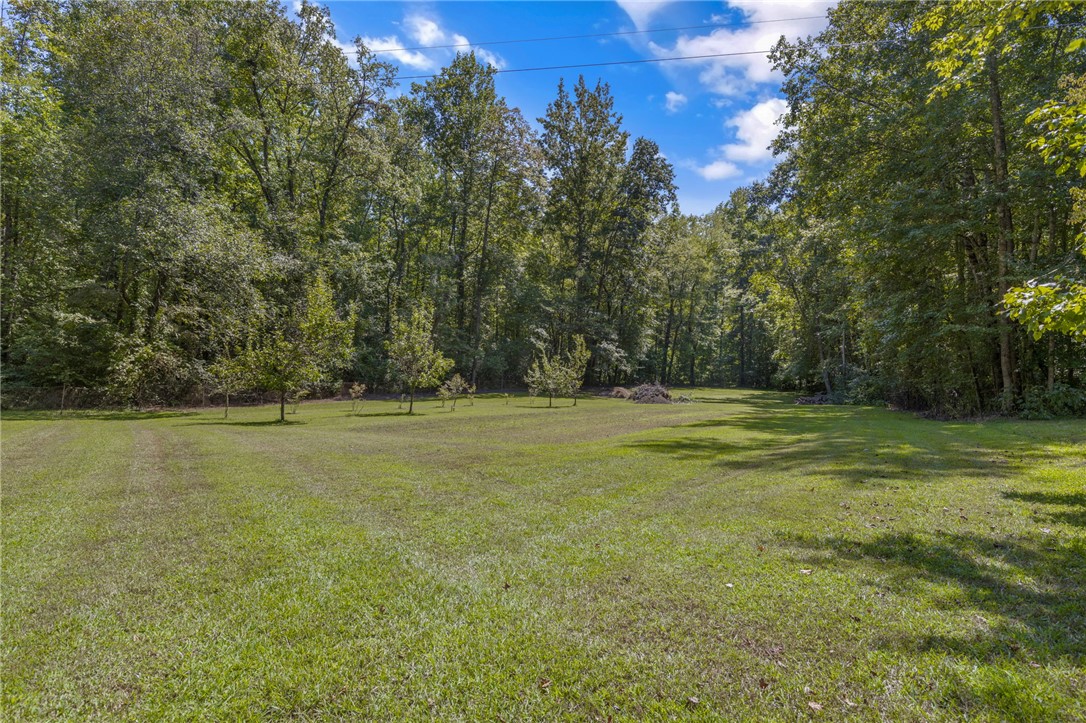 316 Mountain Estates Road Pickens, SC 29671 - Photo 43 of 50
