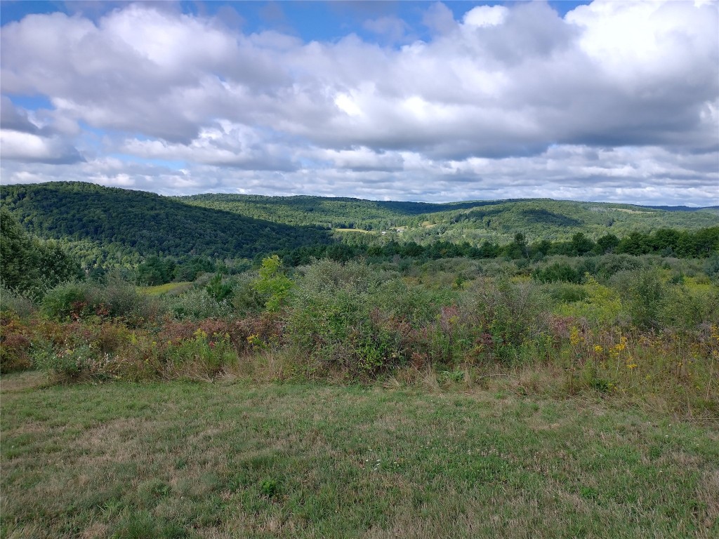 598 Highway 38B Endicott, NY 13760 - Photo 18 of 20