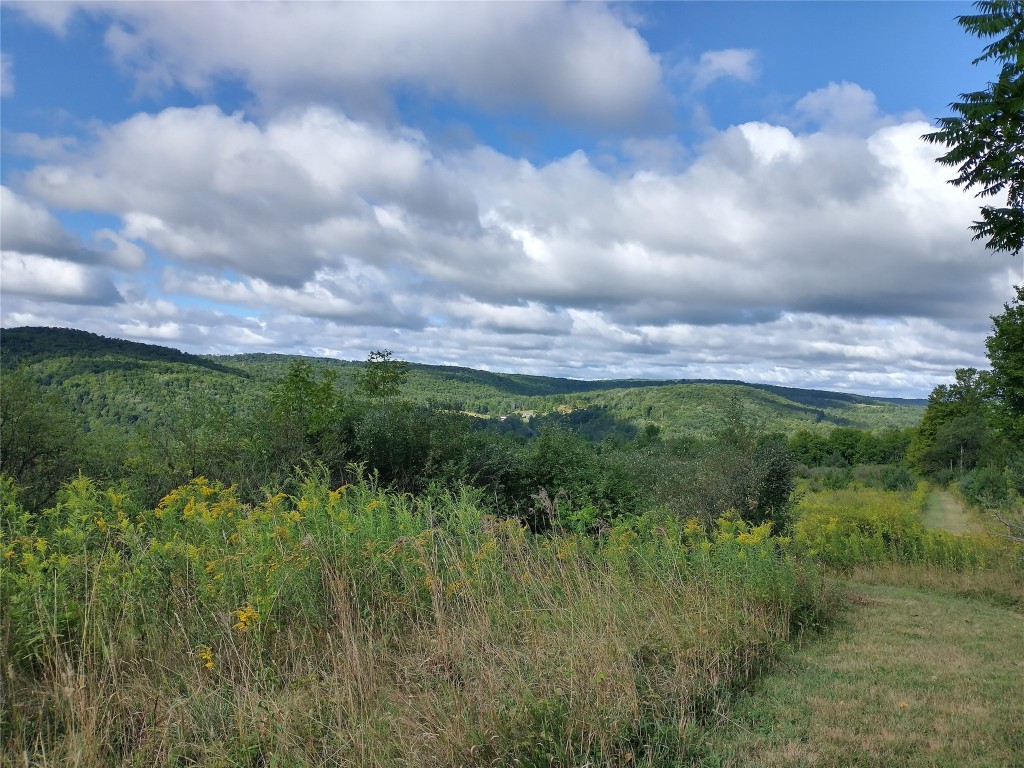 598 Highway 38B Endicott, NY 13760 - Photo 20 of 20