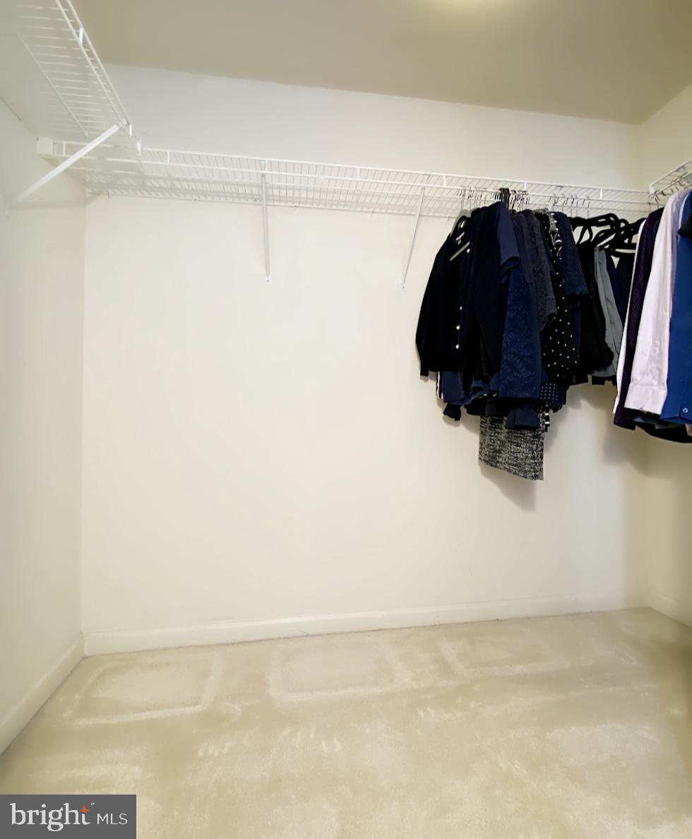 2726 Gallows Road, Unit 1304 Vienna, VA 22180 - Photo 12 of 13
