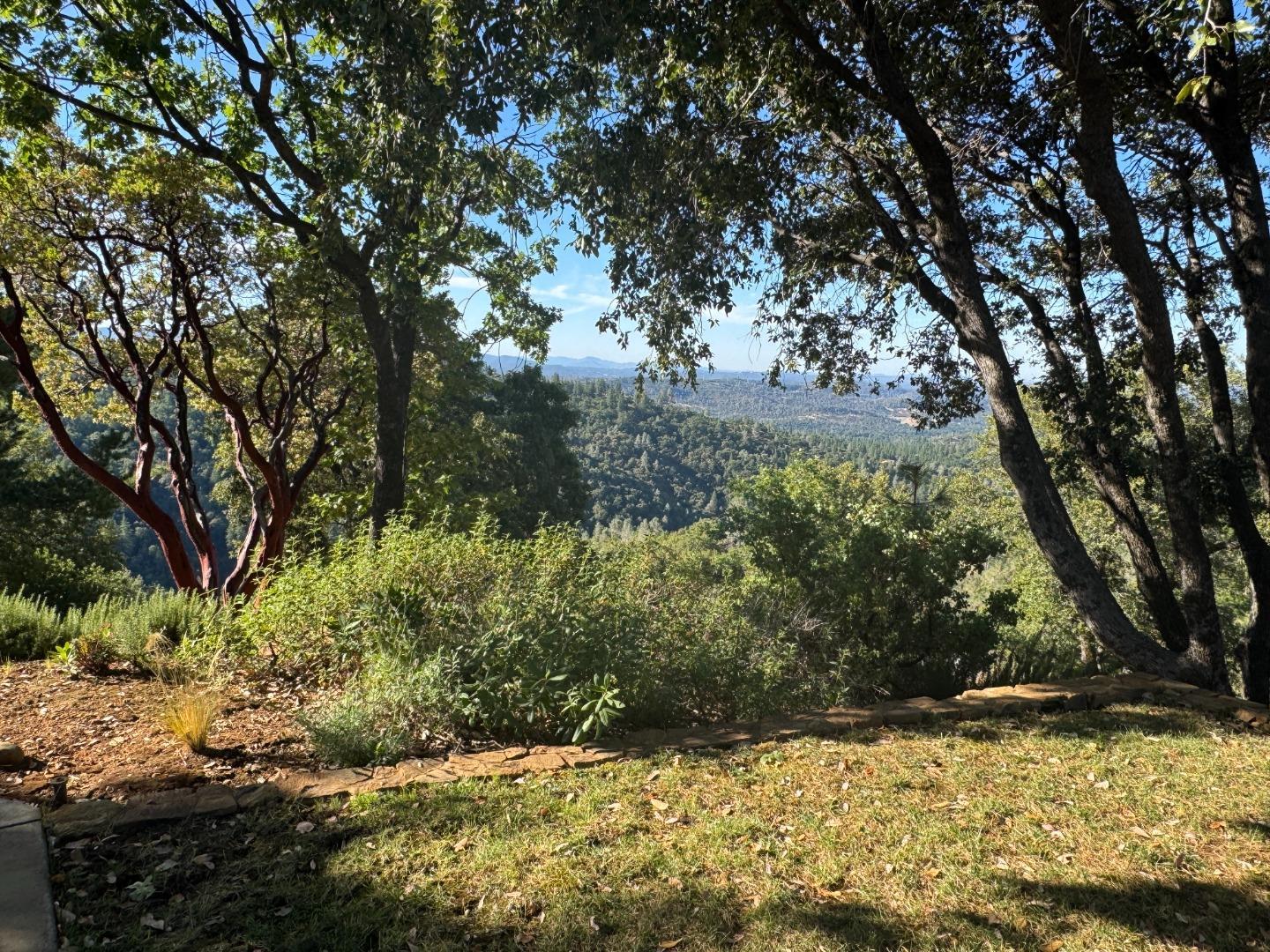2251 Folendorf Road Murphys, CA 95247 - Photo 22 of 39 a view of a yard with plants and trees