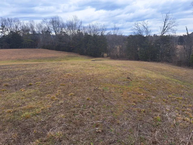 $100,000 | Tbd Baileyton Road, Unit 4 & 6, Greeneville, TN 37745