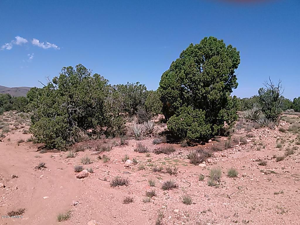 Lot 328 East Randy Ranch Road, Unit 328 Kingman, AZ 86401 - Photo 3 of 14 IMG_20180820_102909