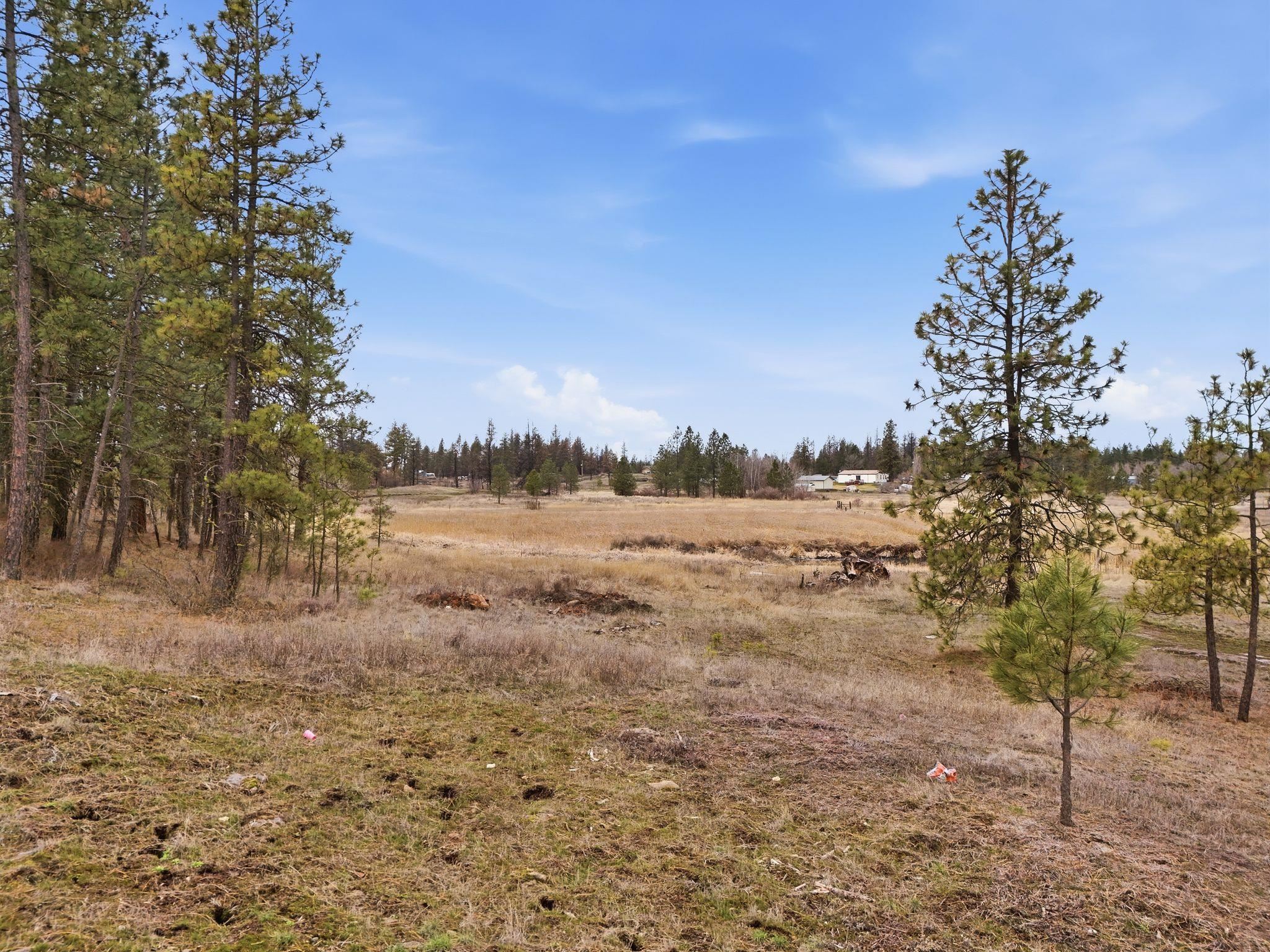 25224 South Carman Road Cheney, WA 99004 - Photo 22 of 29