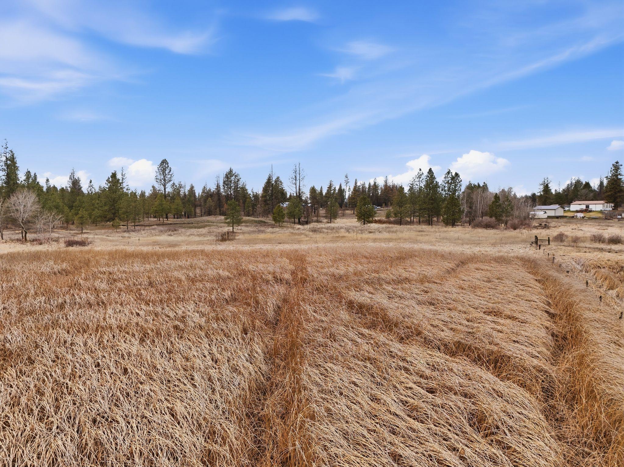 25224 South Carman Road Cheney, WA 99004 - Photo 23 of 29
