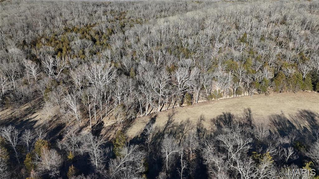 5 Lot Hematite Farms Road Festus, MO 63028 - Photo 2 of 3