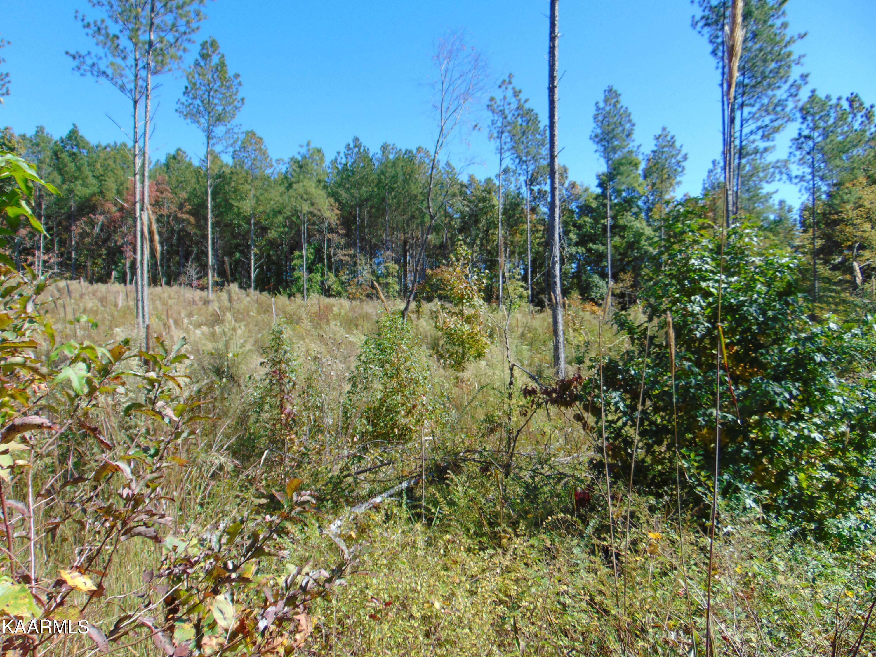 15-d-1 Cameron Road Decatur, TN 37322 - Photo 5 of 12 DSC01521