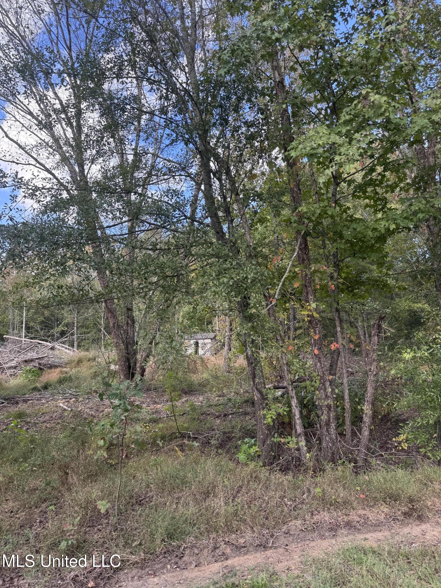Ridge Road Byhalia, MS 38611 - Photo 2 of 7 IMG_3327
